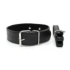 Puppy Leather Chain Leash
