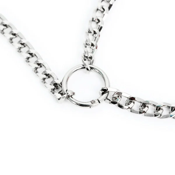 Puppy Iron Chain Leash
