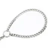 Puppy Iron Chain Leash