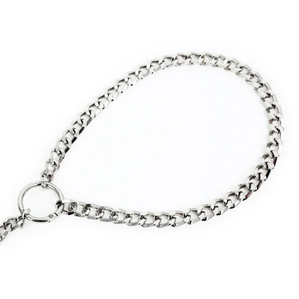 Puppy Iron Chain Leash