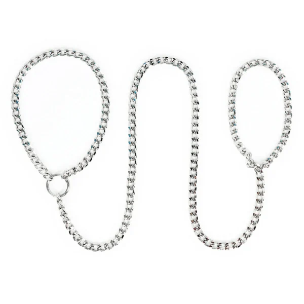 Puppy Iron Chain Leash