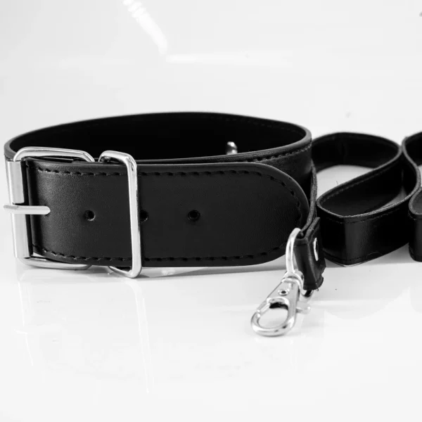 Puppy Leather Chain Leash